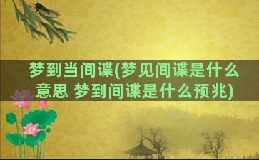 梦到当间谍(梦见间谍是什么意思 梦到间谍是什么预兆)